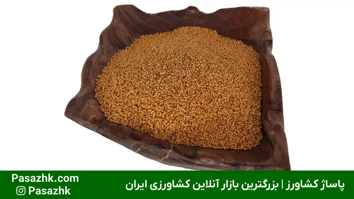 خرید بذر تک و عمده | راهنمای جامع برای کشاورزان خرید بذر تک و عمده | راهنمای جامع برای کشاورزان, اهمیت بذر باکیفیت در کشاورزی, خرید بذر تک و عمده: کدام یک برای شما مناسب است؟, خرید بذر عمده, نکات مهم در خرید بذر, پاساژ کشاورز