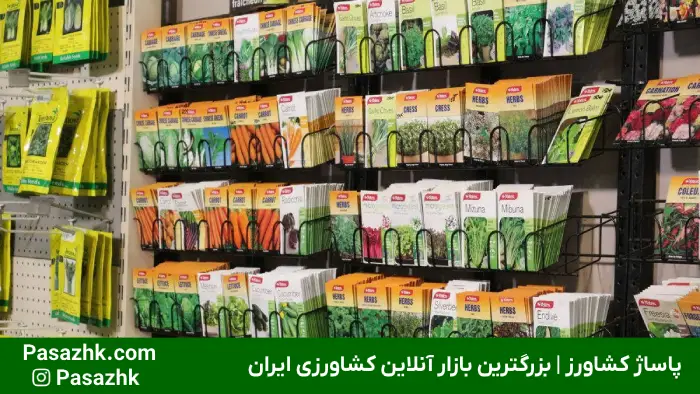 خرید بذر تک و عمده | راهنمای جامع برای کشاورزان 2 خرید بذر تک و عمده | راهنمای جامع برای کشاورزان, اهمیت بذر باکیفیت در کشاورزی, خرید بذر تک و عمده: کدام یک برای شما مناسب است؟, خرید بذر عمده, نکات مهم در خرید بذر, پاساژ کشاورز