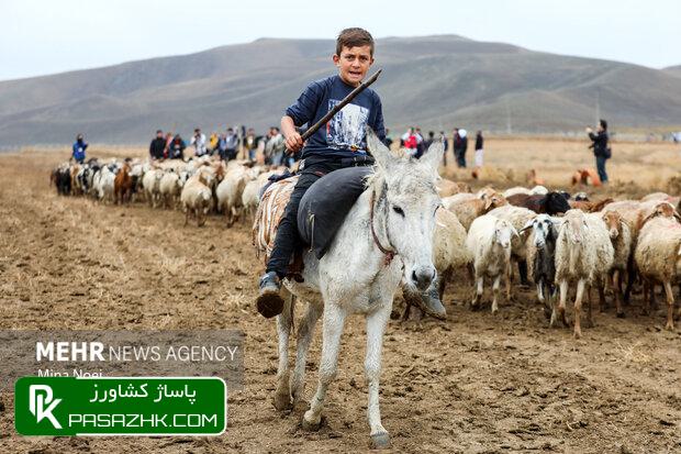 d8aad8a7d985db8cd986 daafd988d8b4d8aa d8a8d8a7daa9db8cd981db8cd8aa d8afd8b1 d8afd8b3d8aad988d8b1 daa9d8a7d8b1 d8b3d8a7d8b2d985d8a7d986 677998205d354, تامین گوشت باکیفیت در دستور کار سازمان امور عشایر ایران, پاساژ کشاورز | بازار بزرگ کشاورزی در ایران, اخبار پاساژ کشاورز, ,