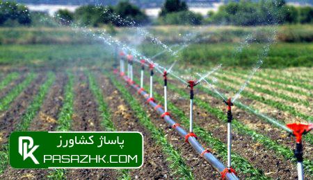 d8b3d986d8af d8a7d985d986db8cd8aa d8bad8b0d8a7db8cdb8c d8afd8a7d986d8b4d8a8d986db8cd8a7d986 d988 d988d8a7d982d8b9db8c d8a7d8b3 677557932962c, سند امنیت غذایی دانش‌بنیان و واقعی است, پاساژ کشاورز | بازار بزرگ کشاورزی در ایران, اخبار پاساژ کشاورز, ,