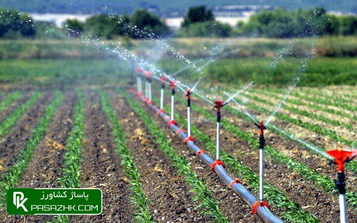 سند امنیت غذایی دانشبنیان و واقعی است 1 d8b3d986d8af d8a7d985d986db8cd8aa d8bad8b0d8a7db8cdb8c d8afd8a7d986d8b4d8a8d986db8cd8a7d986 d988 d988d8a7d982d8b9db8c d8a7d8b3 677557932962c, سند امنیت غذایی دانشبنیان و واقعی است, پاساژ کشاورز | بازار بزرگ کشاورزی در ایران, اخبار پاساژ کشاورز, ,