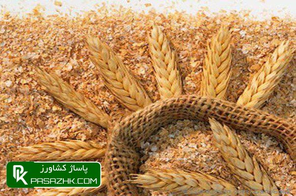 صادرات سبوس برنج آزاد شد 1 d8b5d8a7d8afd8b1d8a7d8aa d8b3d8a8d988d8b3 d8a8d8b1d986d8ac d8a2d8b2d8a7d8af d8b4d8af 677557a2b2a84, صادرات سبوس برنج آزاد شد, پاساژ کشاورز | بازار بزرگ کشاورزی در ایران, اخبار پاساژ کشاورز, ,