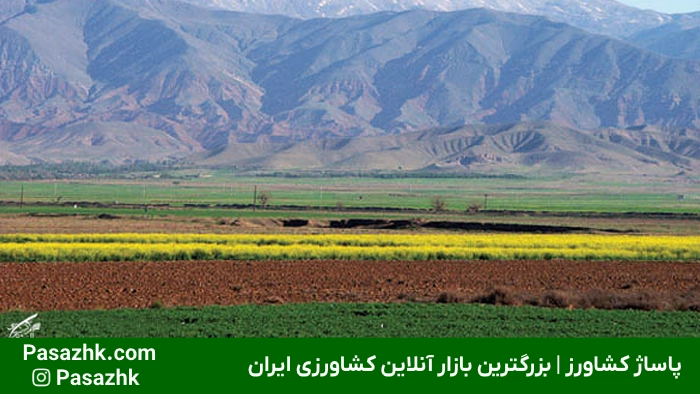 فروشگاه لوله و اتصالات کشاورزی در نیشابور | خرید مستقیم,لوله و اتصالات در نیشابور,چرا انتخاب لوله و اتصالات مناسب در نیشابور اهمیت دارد؟,فروش عمده لوله و اتصالات کشاورزی در نیشابور,فروش عمده لوله و اتصالات در نیشابور: راهکاری اقتصادی برای پروژه‌های بزرگ,خرید لوله پلی اتیلن در نیشابور,معرفی فروشگاه لوله و اتصالات کشاورزی در نیشابور,پاساژ کشاورز