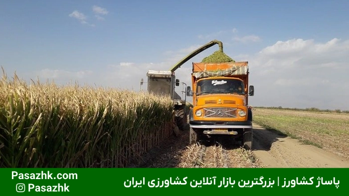 فروشگاه لوله و اتصالات کشاورزی در نیشابور | خرید مستقیم,لوله و اتصالات در نیشابور,چرا انتخاب لوله و اتصالات مناسب در نیشابور اهمیت دارد؟,فروش عمده لوله و اتصالات کشاورزی در نیشابور,فروش عمده لوله و اتصالات در نیشابور: راهکاری اقتصادی برای پروژه‌های بزرگ,خرید لوله پلی اتیلن در نیشابور,معرفی فروشگاه لوله و اتصالات کشاورزی در نیشابور,پاساژ کشاورز