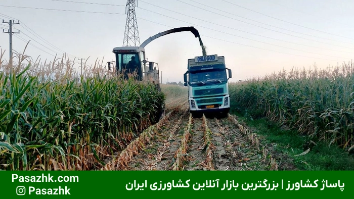 فروشگاه لوله و اتصالات کشاورزی در نیشابور | خرید مستقیم,لوله و اتصالات در نیشابور,چرا انتخاب لوله و اتصالات مناسب در نیشابور اهمیت دارد؟,فروش عمده لوله و اتصالات کشاورزی در نیشابور,فروش عمده لوله و اتصالات در نیشابور: راهکاری اقتصادی برای پروژه‌های بزرگ,خرید لوله پلی اتیلن در نیشابور,معرفی فروشگاه لوله و اتصالات کشاورزی در نیشابور,پاساژ کشاورز