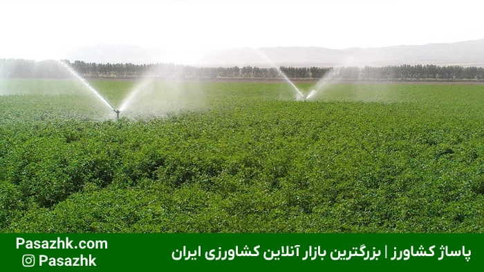 فروشگاه لوله و اتصالات کشاورزی در نیشابور | خرید مستقیم,لوله و اتصالات در نیشابور,چرا انتخاب لوله و اتصالات مناسب در نیشابور اهمیت دارد؟,فروش عمده لوله و اتصالات کشاورزی در نیشابور,فروش عمده لوله و اتصالات در نیشابور: راهکاری اقتصادی برای پروژه‌های بزرگ,خرید لوله پلی اتیلن در نیشابور,معرفی فروشگاه لوله و اتصالات کشاورزی در نیشابور,پاساژ کشاورز