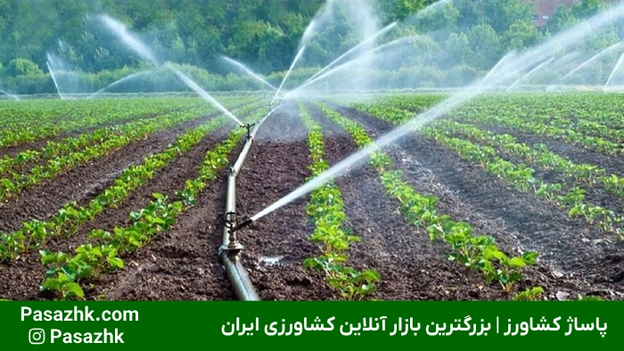 فروشگاه لوله و اتصالات کشاورزی در نیشابور | خرید مستقیم,لوله و اتصالات در نیشابور,چرا انتخاب لوله و اتصالات مناسب در نیشابور اهمیت دارد؟,فروش عمده لوله و اتصالات کشاورزی در نیشابور,فروش عمده لوله و اتصالات در نیشابور: راهکاری اقتصادی برای پروژه‌های بزرگ,خرید لوله پلی اتیلن در نیشابور,معرفی فروشگاه لوله و اتصالات کشاورزی در نیشابور,پاساژ کشاورز