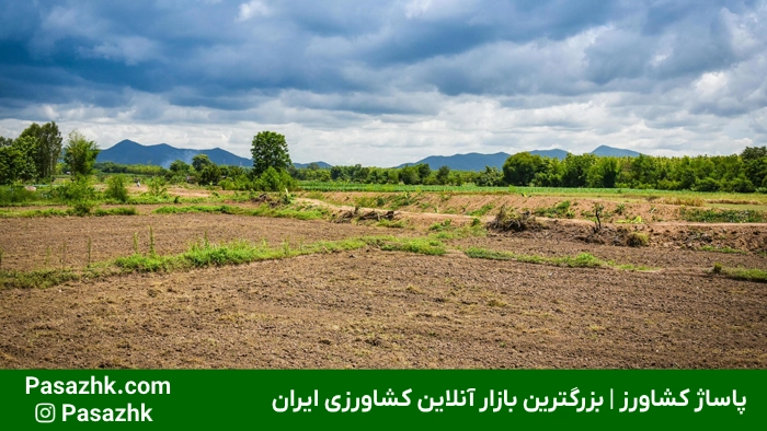 مساحت زمینهای کشاورزی 2 مساحت زمینهای کشاورزی,بررسی مساحت زمینهای کشاورزی: اهمیت و روشهای اندازهگیری,اهمیت مساحت زمینهای کشاورزی,واحدهای اندازهگیری مساحت زمینهای کشاورزی,تبدیل واحدهای سطح در کشاورزی,پاساژ کشاورز,کشاورزی