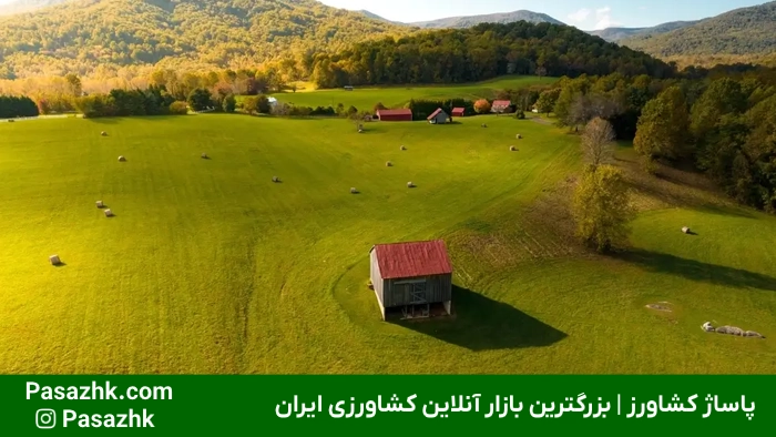 مساحت زمینهای کشاورزی 3 مساحت زمینهای کشاورزی,بررسی مساحت زمینهای کشاورزی: اهمیت و روشهای اندازهگیری,اهمیت مساحت زمینهای کشاورزی,واحدهای اندازهگیری مساحت زمینهای کشاورزی,تبدیل واحدهای سطح در کشاورزی,پاساژ کشاورز,کشاورزی