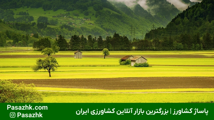 مساحت زمینهای کشاورزی 4 مساحت زمینهای کشاورزی,بررسی مساحت زمینهای کشاورزی: اهمیت و روشهای اندازهگیری,اهمیت مساحت زمینهای کشاورزی,واحدهای اندازهگیری مساحت زمینهای کشاورزی,تبدیل واحدهای سطح در کشاورزی,پاساژ کشاورز,کشاورزی