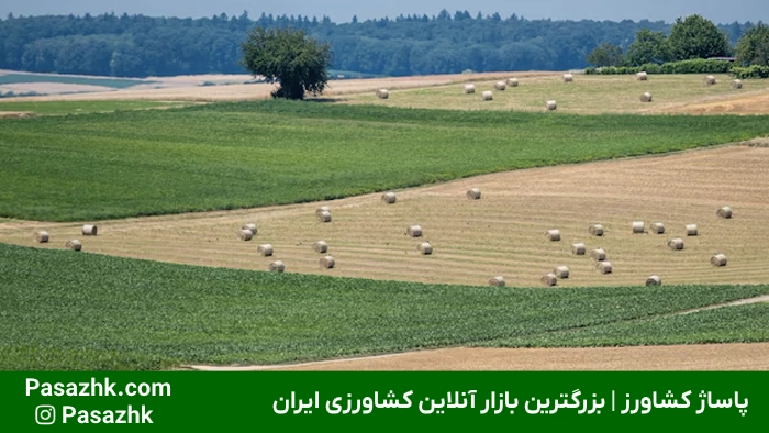 مساحت زمینهای کشاورزی 6 مساحت زمینهای کشاورزی,بررسی مساحت زمینهای کشاورزی: اهمیت و روشهای اندازهگیری,اهمیت مساحت زمینهای کشاورزی,واحدهای اندازهگیری مساحت زمینهای کشاورزی,تبدیل واحدهای سطح در کشاورزی,پاساژ کشاورز,کشاورزی