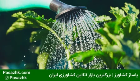 مقدار آبیاری گیاهان زراعی با سیستم قطره‌ای برای صرفه‌جویی در مصرف آب | پاساژ کشاورز