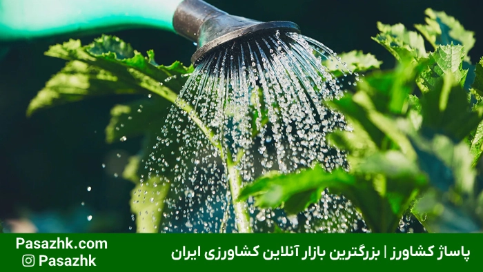 مقدار آبیاری گیاهان زراعی با سیستم قطره‌ای برای صرفه‌جویی در مصرف آب | پاساژ کشاورز