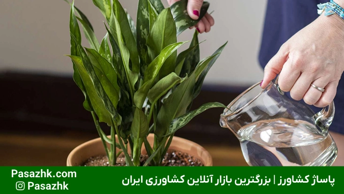 نوار تیپ آبیاری برای تنظیم مقدار دقیق آبیاری گیاهان در کشت‌های ردیفی | پاساژ کشاورز