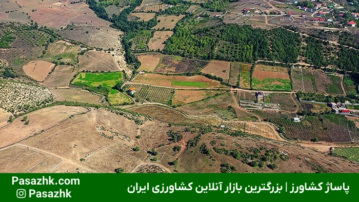 مساحت زمینهای کشاورزی 7 مساحت زمینهای کشاورزی,بررسی مساحت زمینهای کشاورزی: اهمیت و روشهای اندازهگیری,اهمیت مساحت زمینهای کشاورزی,واحدهای اندازهگیری مساحت زمینهای کشاورزی,تبدیل واحدهای سطح در کشاورزی,پاساژ کشاورز,کشاورزی