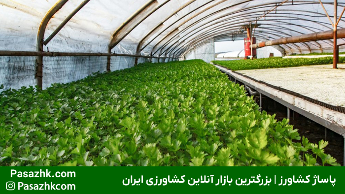 امنیت غذایی و نقش آن در کشاورزی | راهکارها و چالشها 2 نقش کشاورزی پایدار در تأمین امنیت غذایی و تولید محصولات با کیفیت - پاساژ کشاورز