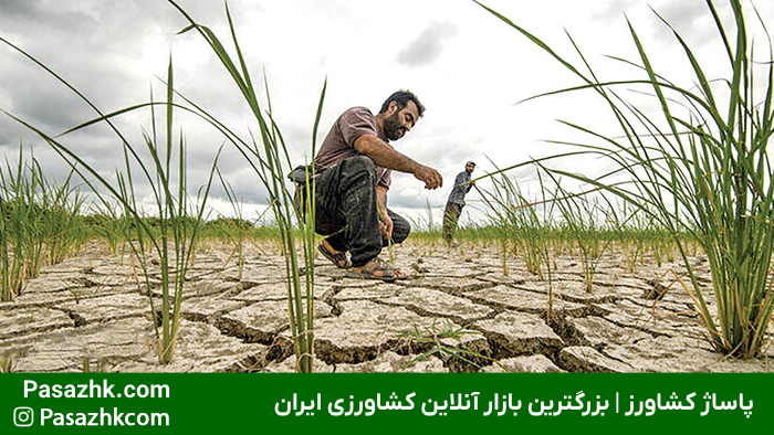 امنیت غذایی و نقش آن در کشاورزی | راهکارها و چالشها 3 چالشهای تأمین امنیت غذایی در ایران و موانع پیشروی کشاورزی - پاساژ کشاورز