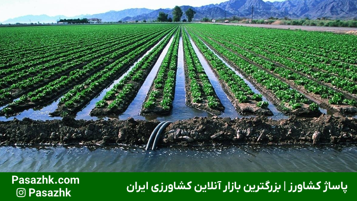 آمار مصرف آب کشاورزی اصفهان و اهمیت استفاده از ژئوممبران در اصفهان - پاساژ کشاورز