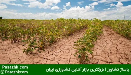 فقدان برنامه‌ریزی بلندمدت (مدیریت ضعیف مزرعه), اشتباه رایج کشاورزان, پاساژ کشاورز