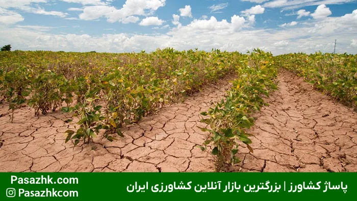 فقدان برنامه‌ریزی بلندمدت (مدیریت ضعیف مزرعه), اشتباه رایج کشاورزان, پاساژ کشاورز