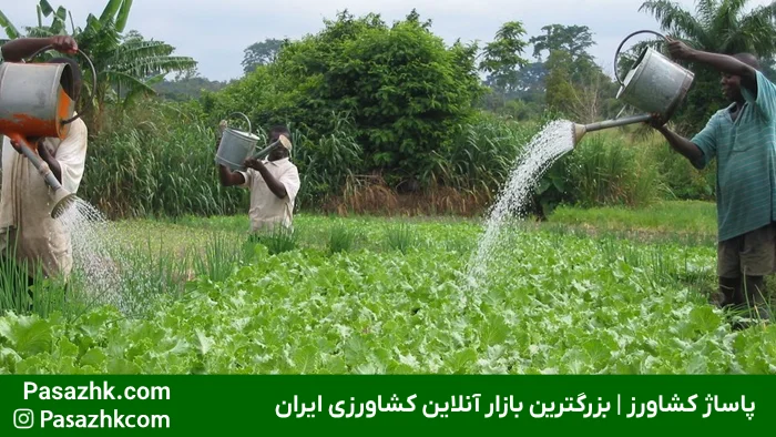 روش‌های نوین آبیاری و صرفه‌جویی در مصرف آب کشاورزی