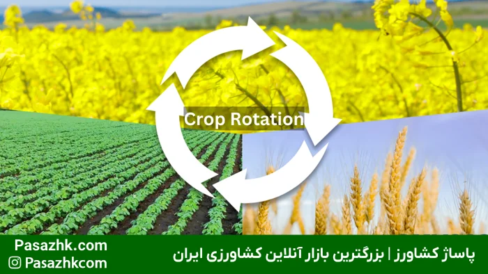 اهمیت تناوب زراعی در افزایش حاصلخیزی خاک