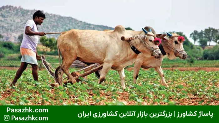 استفاده از فناوری‌های نوین در کشاورزی هوشمند