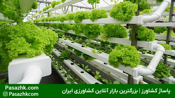 تجهیزات لازم برای گلخانه هیدروپونیک: راهنمای جامع برای راهاندازی موفق 4 مخزن فود گرید برای نگهداری محلول غذایی در گلخانه هیدروپونیک