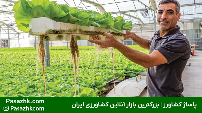 تجهیزات لازم برای گلخانه هیدروپونیک: راهنمای جامع برای راهاندازی موفق 6 شبکه لولهکشی PVC برای انتقال محلول غذایی در گلخانه, تجهیزات لازم برای گلخانه هیدروپونیک, پاساژ کشاورز