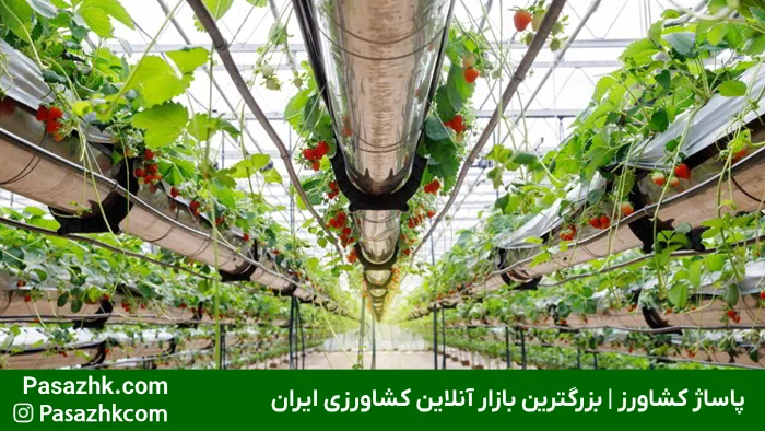 تجهیزات لازم برای گلخانه هیدروپونیک: راهنمای جامع برای راهاندازی موفق 8 چراغ رشد LED مخصوص گلخانه هیدروپونیک برای تأمین نور مصنوعی, تجهیزات لازم برای گلخانه هیدروپونیک, پاساژ کشاورز