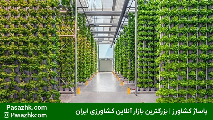 تجهیزات لازم برای گلخانه هیدروپونیک: راهنمای جامع برای راهاندازی موفق 9 ابزارهای اندازهگیری pH، EC، دما و تایمر در گلخانه هیدروپونیک, تجهیزات لازم برای گلخانه هیدروپونیک, پاساژ کشاورز