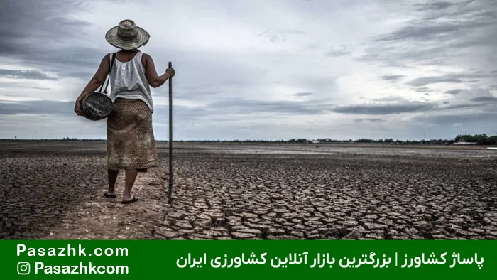 اهمیت کشت دیم در ایران با توجه به اقلیم, کشت دیم, بازار بزرگ کشاورزی ایران, پاساژ کشاورز, اهمیت کشت دیم در شرایط تغییرات اقلیمی