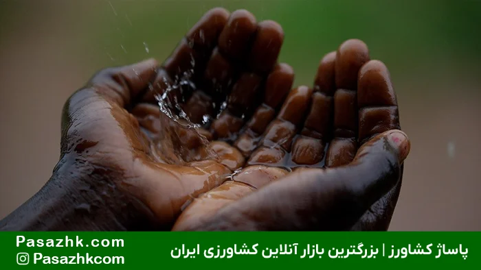 وابستگی شدید به بارش‌های جوی در کشت دیم, کشت دیم, بازار بزرگ کساورزی ایران, پاساژ کشاورز, تجهیزات آبیاری کشاورزی