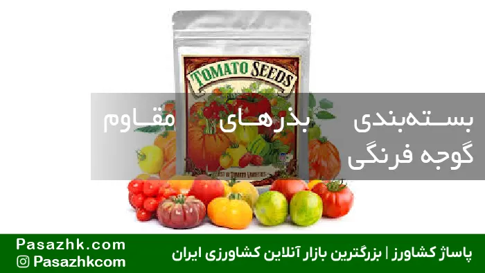 راهنمای جامع انتخاب بهترین بذر گوجه فرنگی مقاوم به آفت برای افزایش عملکرد تا ۳ برابر! 3 بستهبندی بذرهای مقاوم گوجه فرنگی, بذر گوجه فرنگی مقاوم به آفت, پاساژ کشاورز, بازار آنلاین کشاورزی