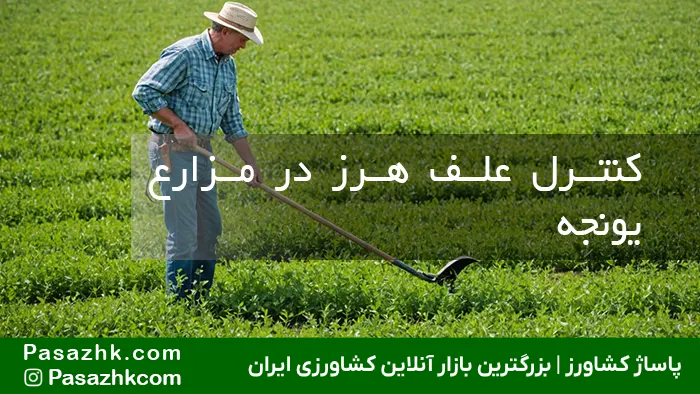کنترل علف هرز مزارع یونجه, دیریت علف‌های هرز یونجه, حذف علف هرز یونجه, مبارزه با علف‌های هرز در کشت یونجه, کنترل گیاهان هرز یونجه, وجین علف هرز یونجه, پیشگیری از علف هرز در مزارع یونجه, راهکارهای کنترل علف هرز یونجه, دفع علف‌های هرز یونجه, سمپاشی علف هرز یونجه, پاساژ کشاورز, بازار آنلاین کشاورزی, بازار بزرگ کشاورزی, کشاورزی, کود