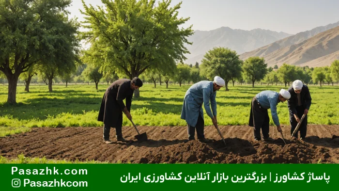 کاشت درخت گردو, اشتباه مرگبار در کاشت درخت گردو که باید از آن دوری کنید!, حریم کاشت درخت گردو, نهال گردو, پاساژ کشاورز