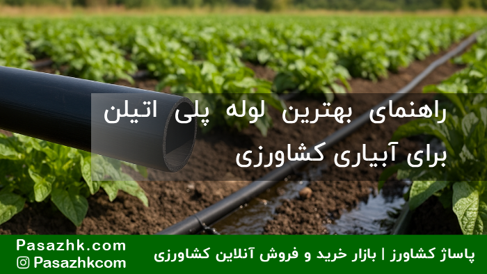 بهترین لوله پلی اتیلن برای آبیاری کشاورزی, راهنمای انتخاب لوله پلی اتیلن کشاورزی, مقایسه لوله پلی اتیلن با لوله PVC در آبیاری, لوله پلی اتیلن مناسب مزرعه, برندهای معتبر لوله پلی اتیلن کشاورزی, مشاوره انتخاب لوله آبیاری