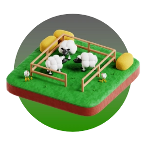 دام و طیور زنده