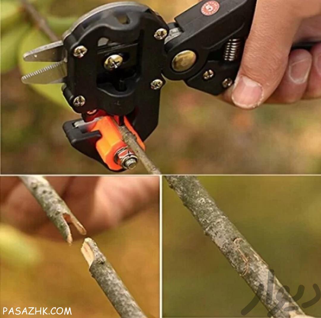 قیچی پیوند زن پیونیک