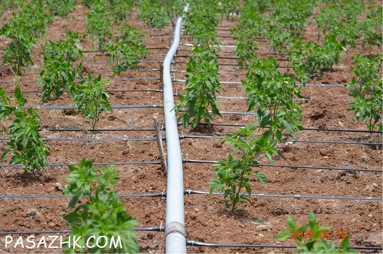 اجرای پروژه آبیاری و آبرسانی – آبیاری