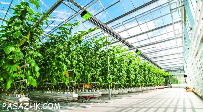 هیتر تابشی گرماتاب