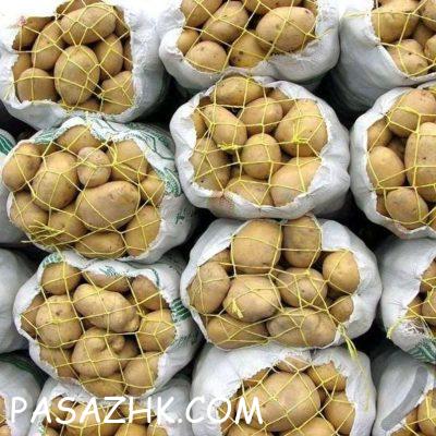 221e16ab-8ce7-48ea-b681-592a1281561e