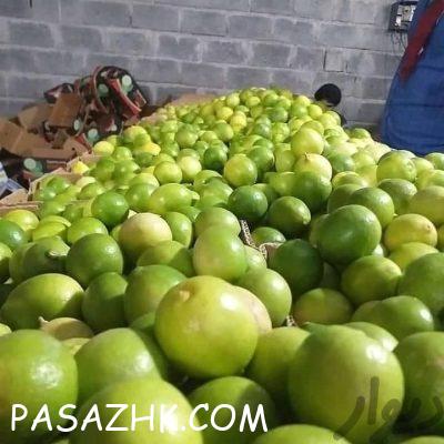 38abfbc1-dc28-4b77-841b-23ef7e030139