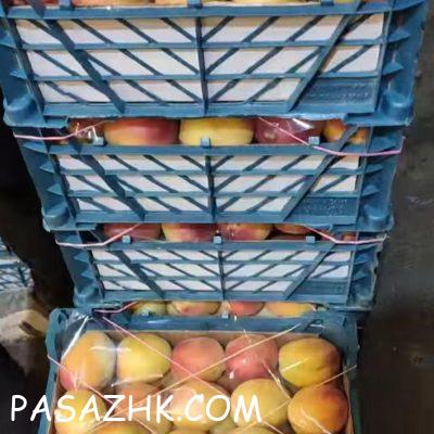 3badf80b-2438-4f77-baff-09fd75790d31