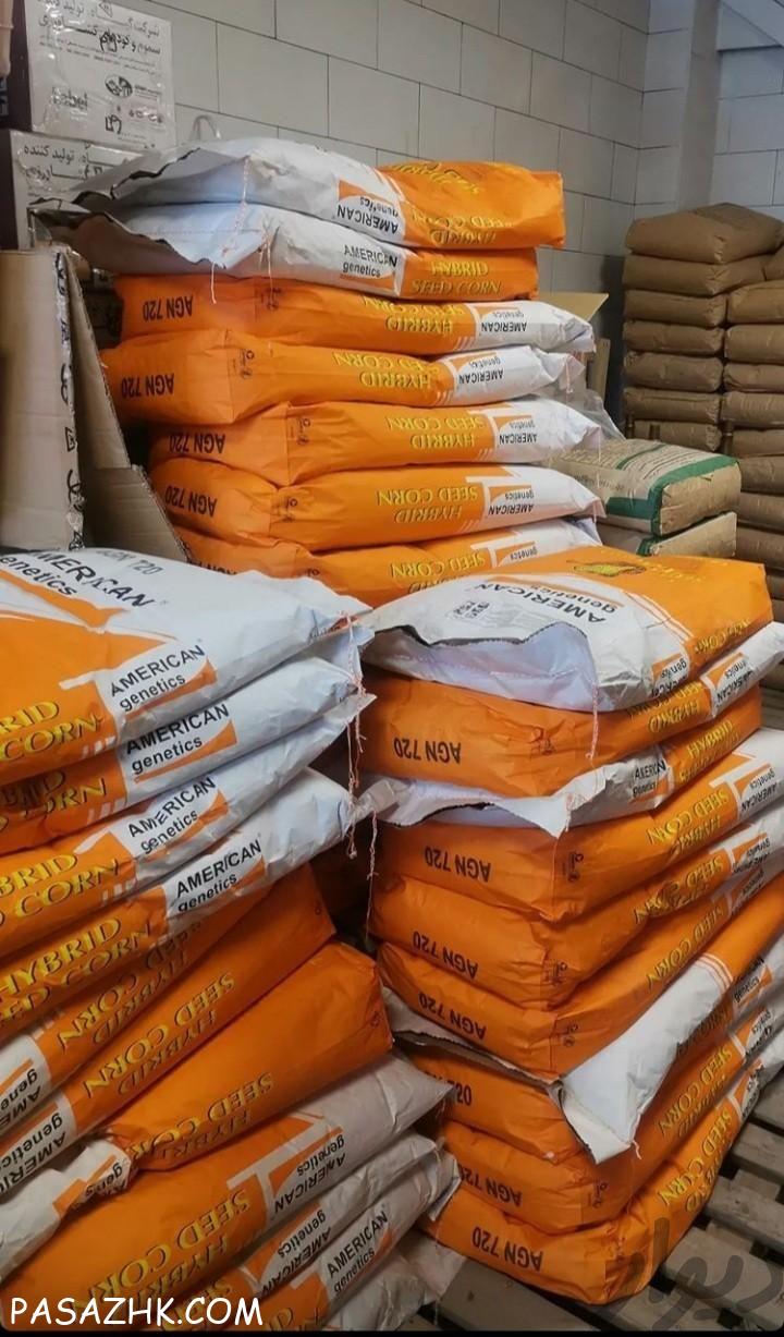بذر ذرت امریکن ژنتیک /مناسب کشت دانه ای و علوفه ای