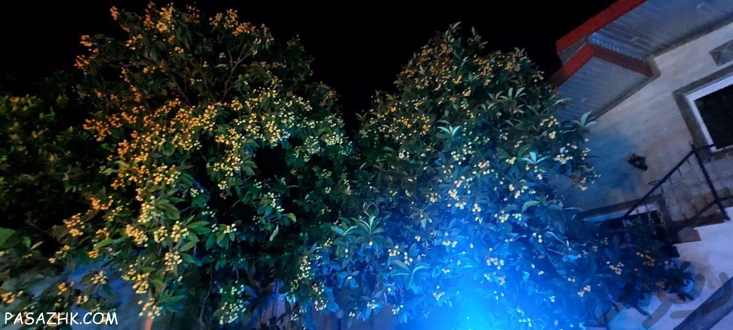 خدمات باغبانی و کشاورزی سم‌پاشی آبیاری پیوندزنی