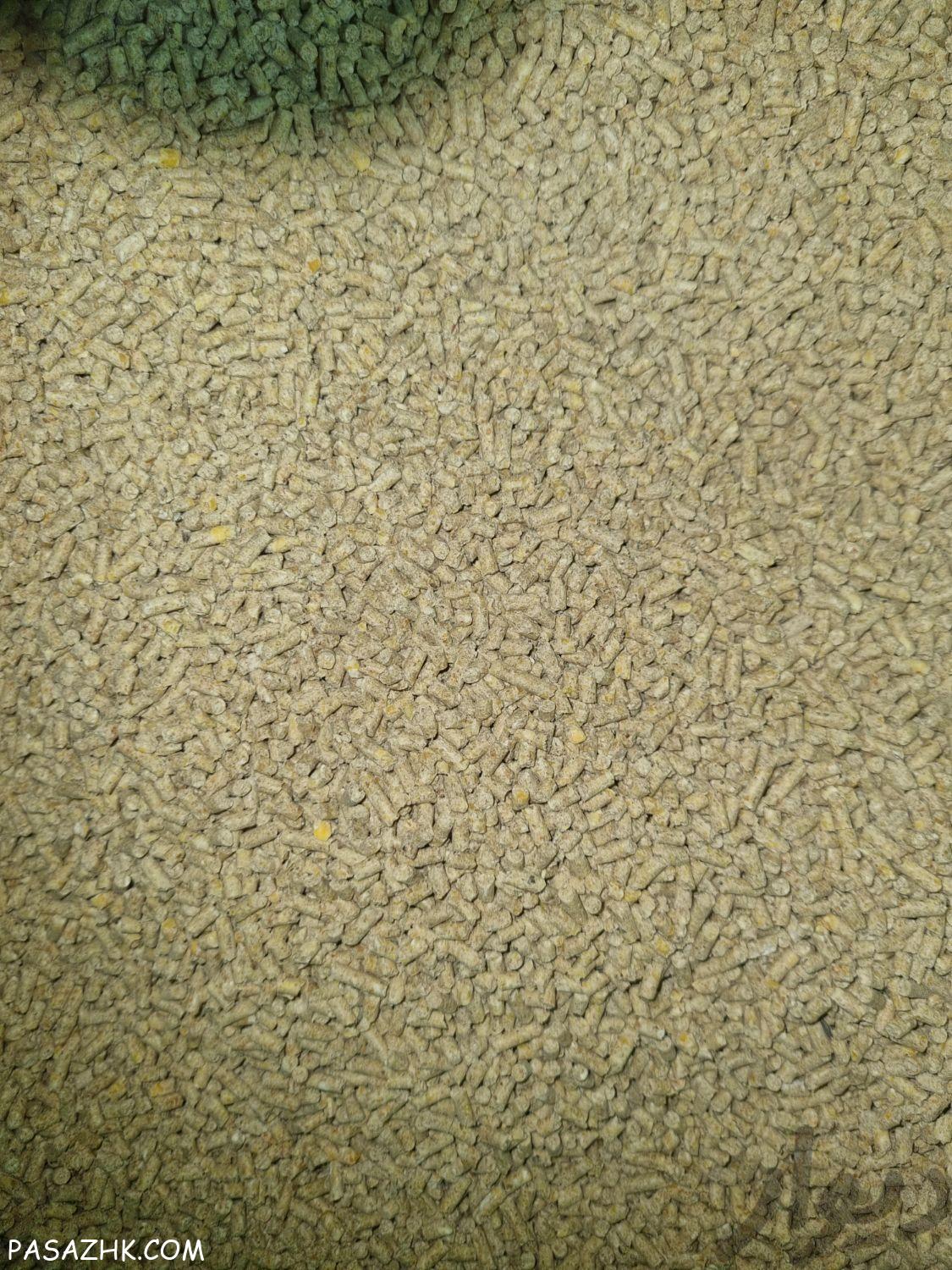 تولیدوفروش خوراک آماده دام وطیور