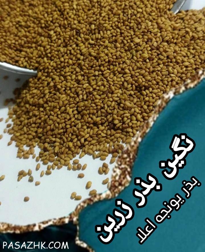 قیمت وفروش بذر یونجه, بذر علوفه ,بذرشبدر