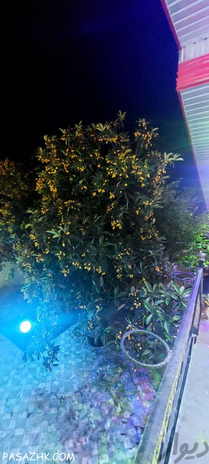 خدمات باغبانی و کشاورزی سم‌پاشی آبیاری پیوندزنی