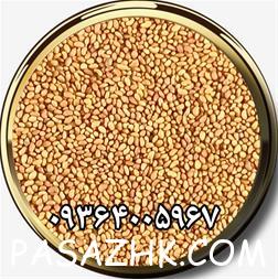 I380X253_001394322947